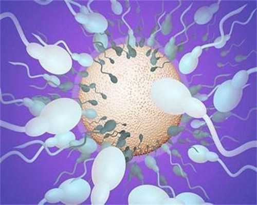 北京借卵代怀孕生子|北京朝阳医院做试管要多少钱?