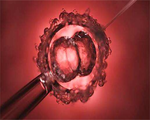 试管取卵后如何预防腹水？试管婴儿腹水如何预防？,代怀医院