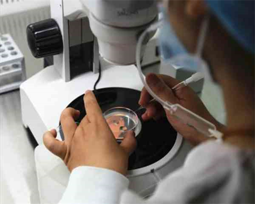 北京代怀公司咨询,北京协和医院供卵试管成功率如何?三代试管双胞胎在北京