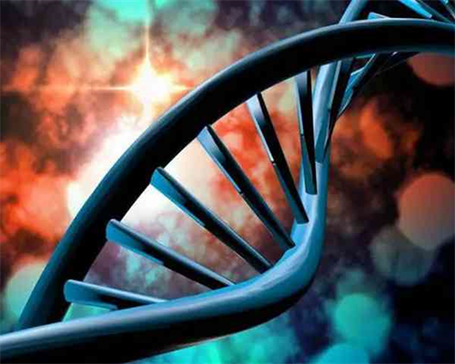 北京有正规代孕公司,北京供卵中心靠谱吗,北京供卵试管中介靠谱吗