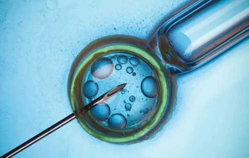 北京供卵试管|北京助孕公司试管价格表最新消息?