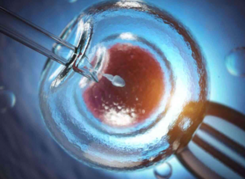 北京借卵咨询,北京私立供卵代孕医院汇总名单