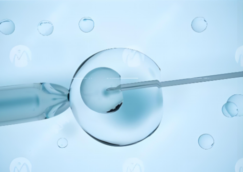 昆明爱维艾夫试管婴儿成功率，昆明爱维艾夫试管婴儿,试管借卵医院