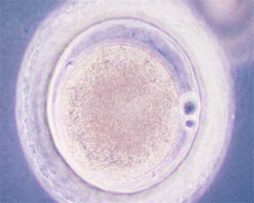 北京有正代孕医院,北京三代试管婴儿医院排名？附北京三代试管医院名单？