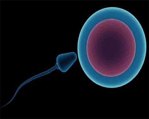 北京借卵好吗,北京供卵试管中心，北京哪里可以找宝宝？