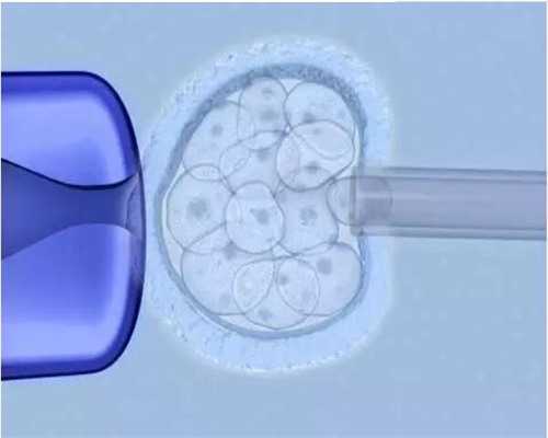 马彩虹移植成功率高吗?马彩虹的试管成功率,助孕供卵