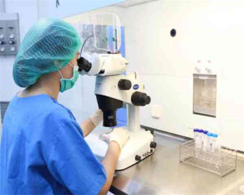 北京供卵费用价格套餐|嘉兴供卵生男孩（北京和睦家第三代试管）