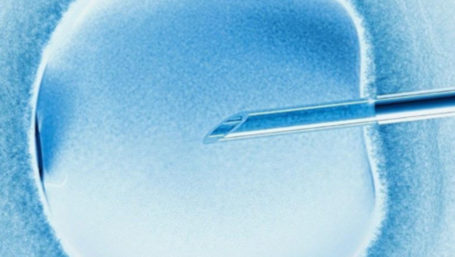 北京包性别代怀套餐,北京西城区:北京协和医院简介_费用_生殖中心_试管婴儿