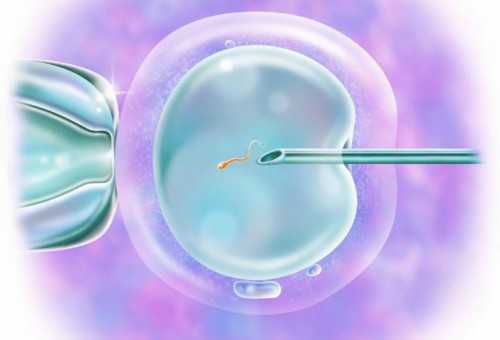 北京供卵试管女人,北京捐献精子库医院有几家,北京哪家医院有精子库