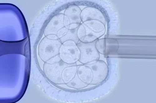 北京代孕哪些医院,，北医三院三代试管成功率北京三院三代试管婴儿成功率能