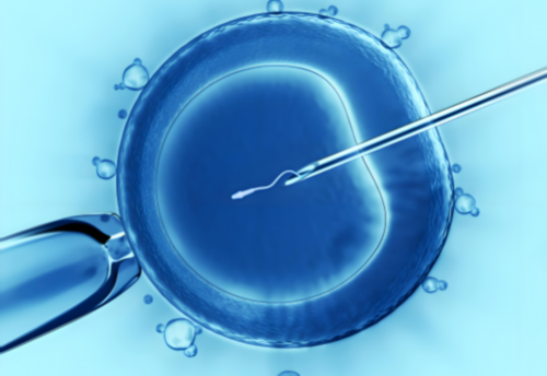 北京试管借卵供卵代生|北京助孕公司哪家成功率高,北京试管婴儿费用大约多