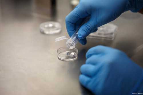 男科生殖科[aa69助孕公司天津有吗],石家庄供卵是什么：石家庄试管供卵机构