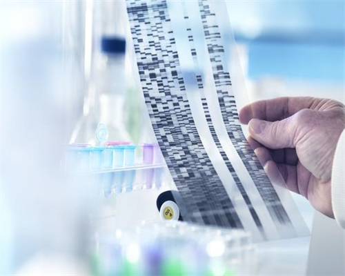 北京做三代试管|北京助孕公司|北京供卵试管医院|北京试管供卵试管机构_北京