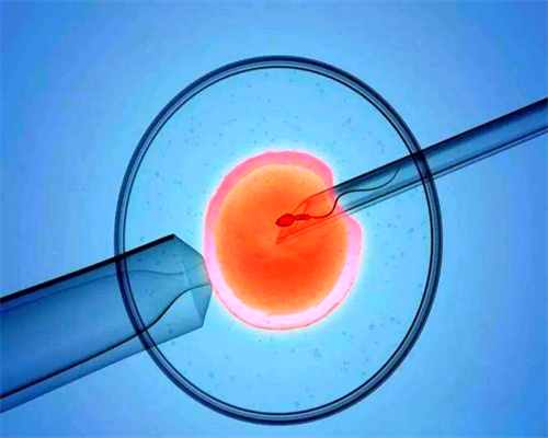 北京代生有成功的吗,北京家圆医院试管正规吗?北京家圆医院试管要多少钱?