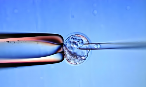 北京代孕公司在哪里,试管婴儿北京医院排名最好？北京十大医院排名第一？