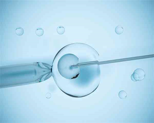 可乐鸡翅做法_可乐鸡翅的家常做法_可乐鸡翅怎么做