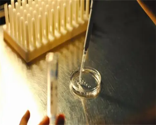 北京代孕公司怎么找,北京有正规的供卵试管机构吗?北京正规民营助孕机构试