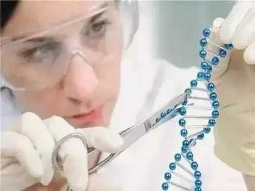 患上多囊想怀孕怎么办？