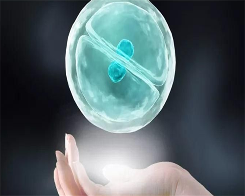 北京代生成功率_北京供卵供卵代孕网,北京公立医院做供卵代孕多少钱？