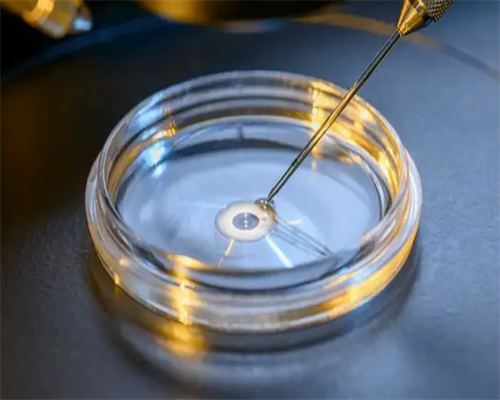 北京哪些代孕医院,北京清河亲子鉴定中心