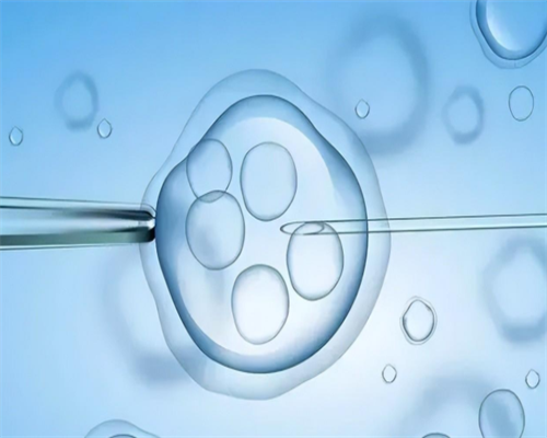 产后坐月子的饮食知识与禁忌,供卵产子费用