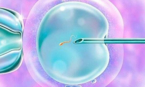 北京私人供卵医院,北京三代试管公司,北京试管婴儿怎么做的全过程