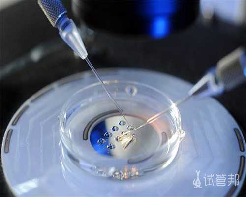 北京供卵试管成功,北京试管的正规医院!北京试管的正规医院排名