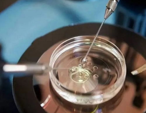 小孩发烧能喝竹蔗马蹄水吗