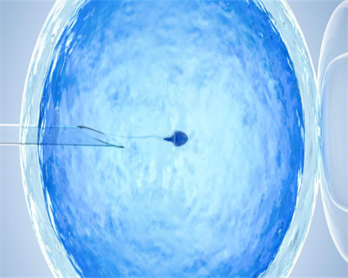 北京试管婴儿哪个医院做的最好？