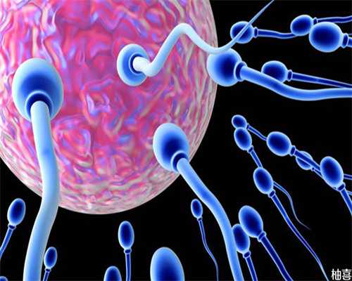 北京试管助孕排名|北京助孕机构哪家好?北京试管试管助孕机构正规流程是关