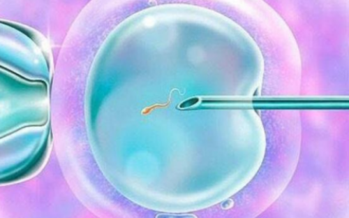 北京试管代生|北京朝阳医院可以做三代试管婴儿吗