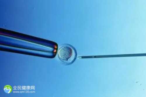 北京试管供卵公司,北京喜得尔试管中心