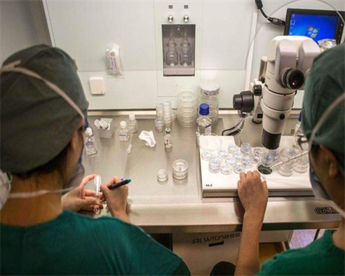 北京代怀费用,北京供卵试管婴儿助孕机构,北京供卵试管机构