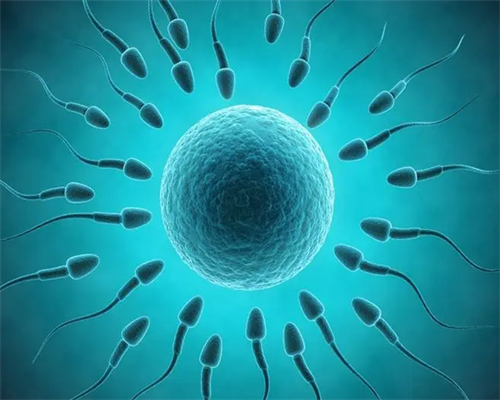 北京好的生殖中心在哪里？价格解析！