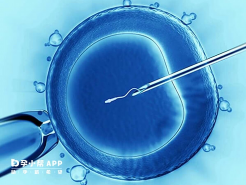 北京助孕资讯|北京助孕公司有哪些,2026
北京试管助孕医院排名!