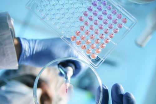 北京助孕代怀机构,北京供卵代孕费用涨价多少了啊？