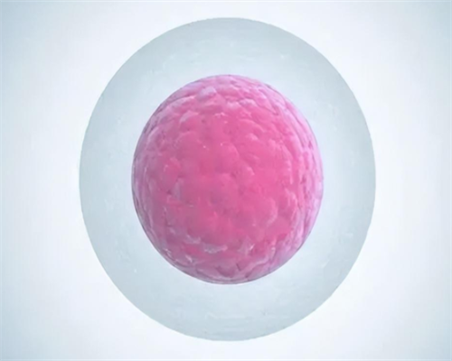 三代试管婴儿在北京多少钱！试管会很贵！