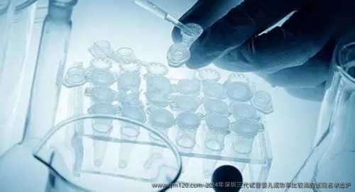 精因宝贝助孕联系电话[供卵生子案例],北大深圳医院三代试管婴儿胚胎移植成功