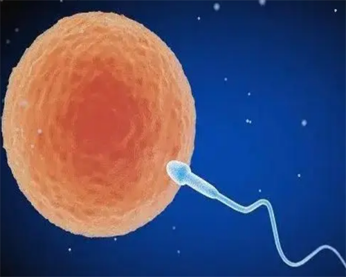 北京本地供卵医院,北京哪家医院能做试管呢？北京家圆医院做得如何？