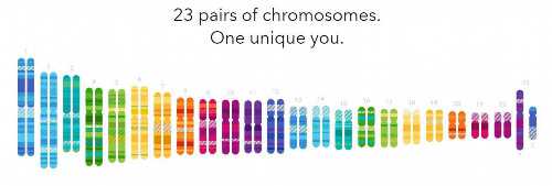 代妈哪家好[精因宝贝助孕],山西省省妇幼医院第三代试管婴儿需要多少费用