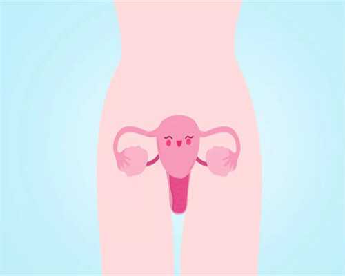 北京借卵咨询,北京做供卵代孕婴儿的价格是多少