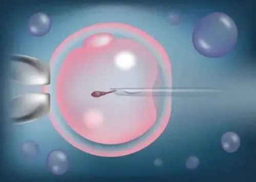 北京代生总价格,北京供卵子,北京治妇科病专家网络咨询