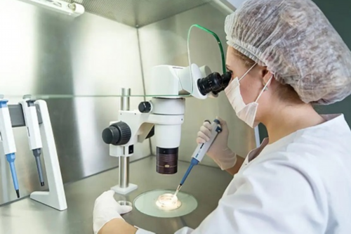 韭菜盒子_韭菜盒子的做法_韭菜盒子怎么做好吃,快速代怀机构