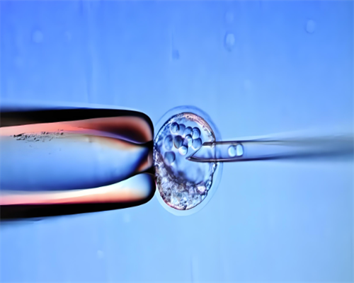 怀孕初期能吃香蕉吗?听说对胎儿发育有好处!,大龄代怀生子