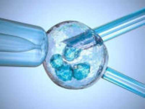 北京代孕哪家专业,北京试管供卵生子包男孩多少钱？附北京供卵试管医院排名