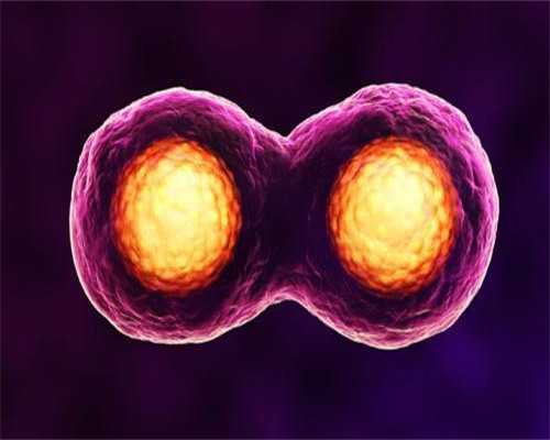 北京代孕公司费用,北京试管婴儿十大医院排名哪家北京医院最好?