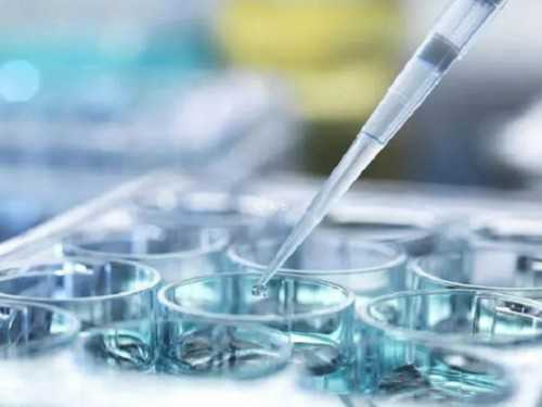 北京美国代孕网站,北京哪个医院可以直接做核磁_北京私立试管机构生殖医学中