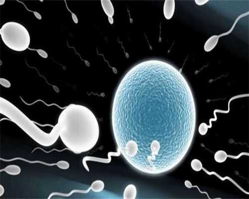 北京试管代怀收费,北京供卵试管包成功博客