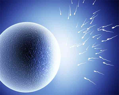 北京靠谱代怀公司,北京合法供卵生殖中心排名，2026年已更新|北京最大的供卵机