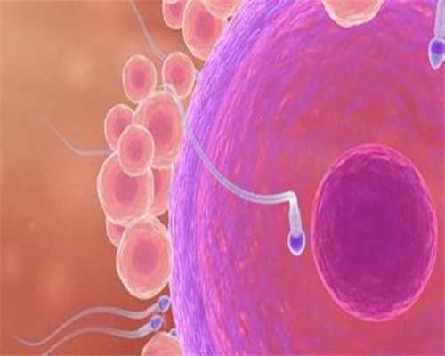 北京代孕产子包成功,北京哪家私立医院能供卵,供卵很多不成功的